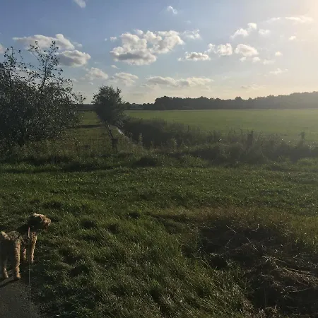 Apartament Waldeck *